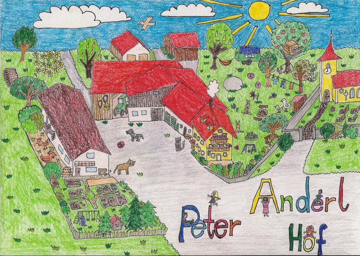 Ferienwohnung Biobauernhof Peter Anderl Hof Pfreimd ภายนอก รูปภาพ